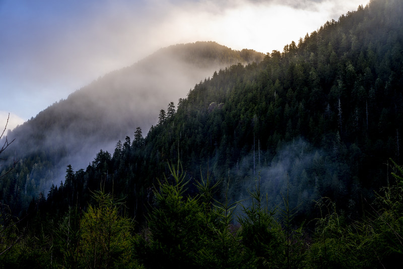 Morning sunlight breaking through low clouds and mist over forested Olympic Mountain slopes
